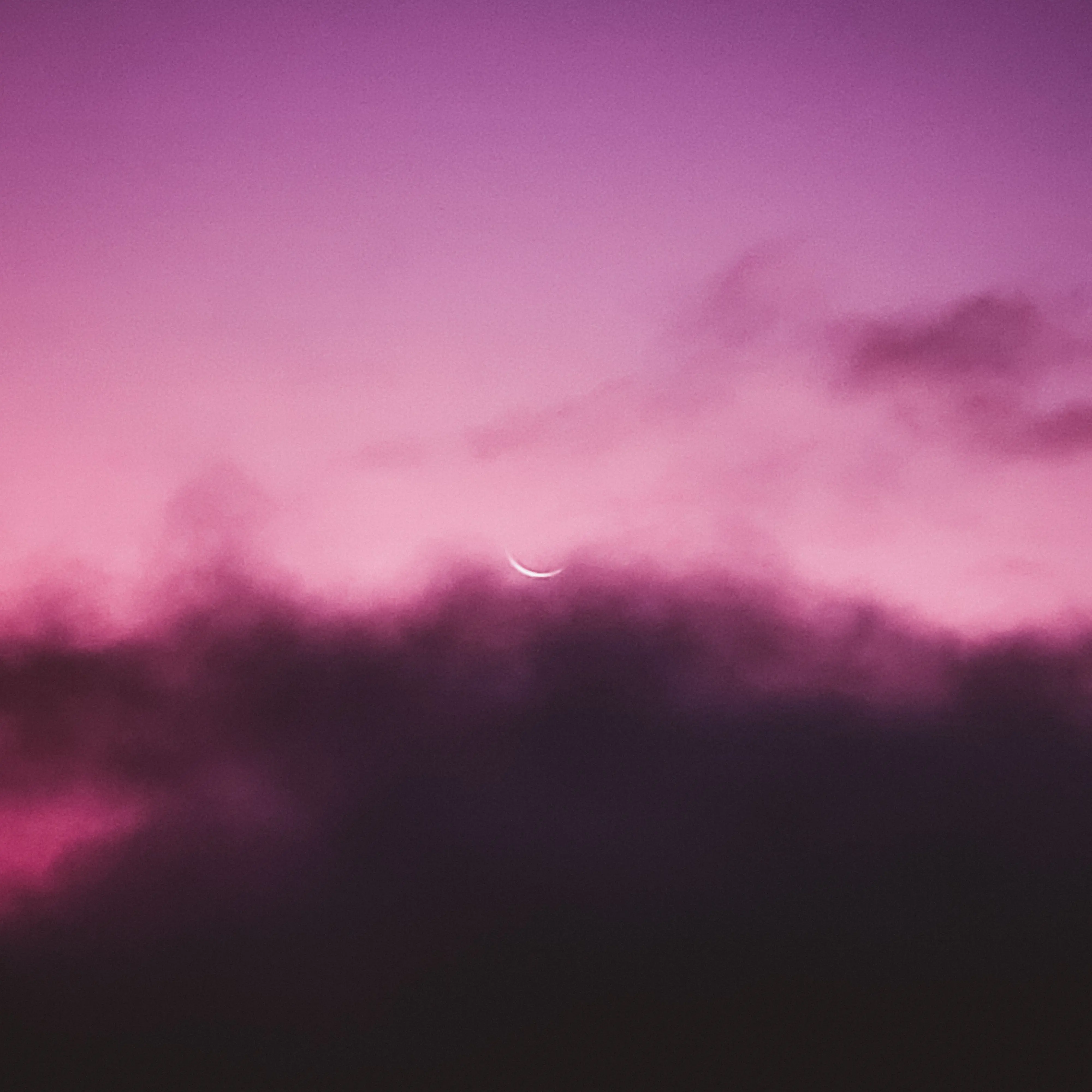 Violet Sky