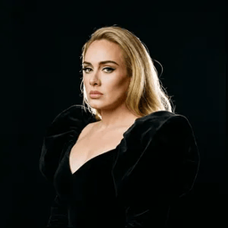 Voice cover image